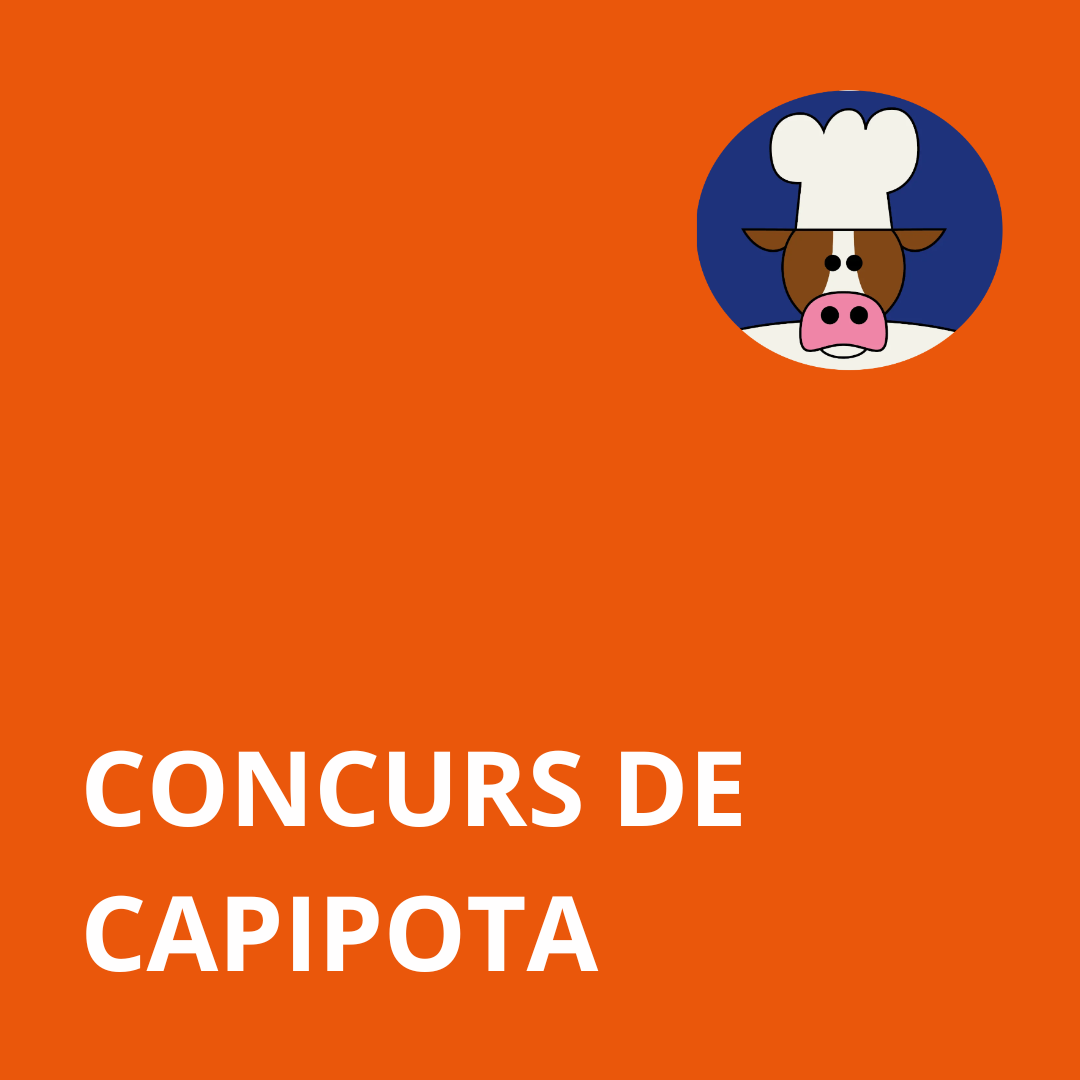 Capipota